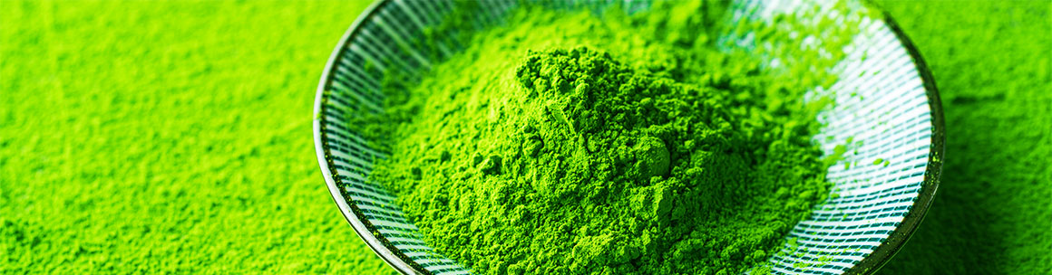 Matcha Green Tea Wholesale